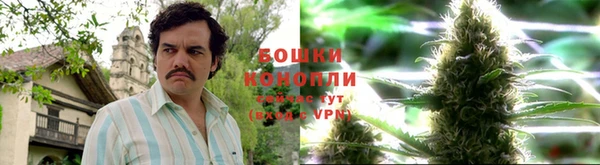 бутират Баксан
