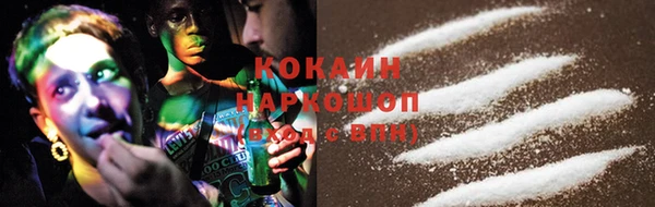 шишки Алзамай