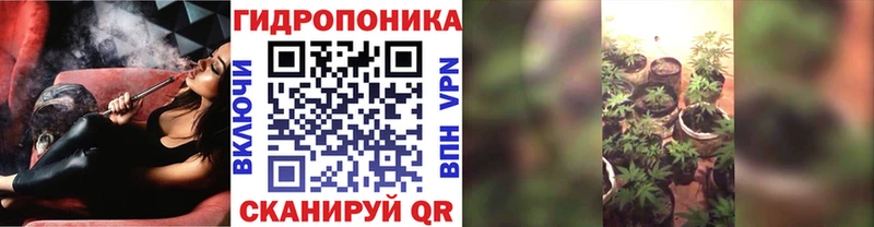 сколько стоит  Себеж  Каннабис марихуана 